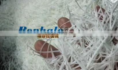 Automatic Stainless Steel Coconut Slicer photo-4
