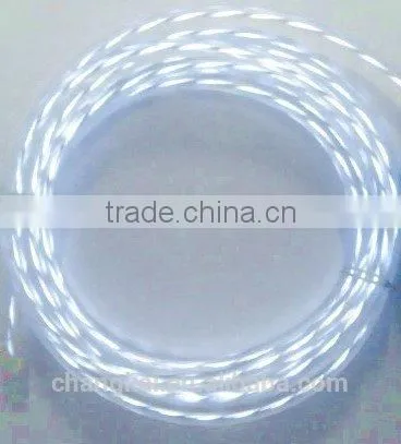 Chasing EL Wire photo-2