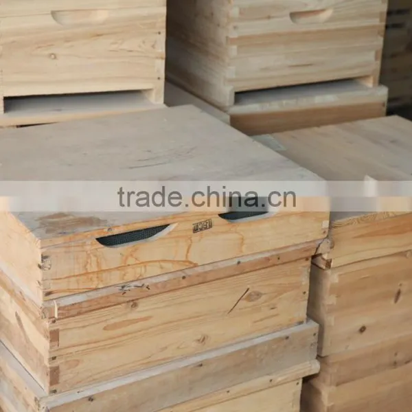 Apis Cerana Beehive photo-2