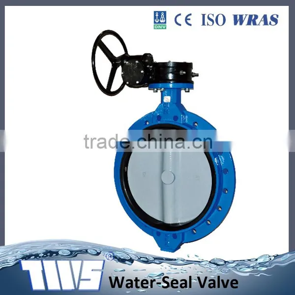 MD Worm Gear Cast Iron Wafer Butterfly Valve Wholesaler photo-3