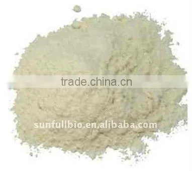 Garlic Plant Extract