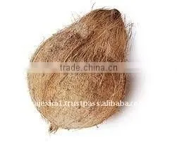 Semi Husked Coconut for Buy