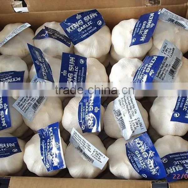 Fresh Garlic