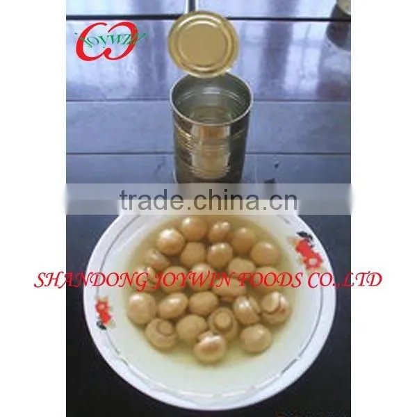 Canned Mushroom Pieces and Stems Canned Mushroom Canned Food