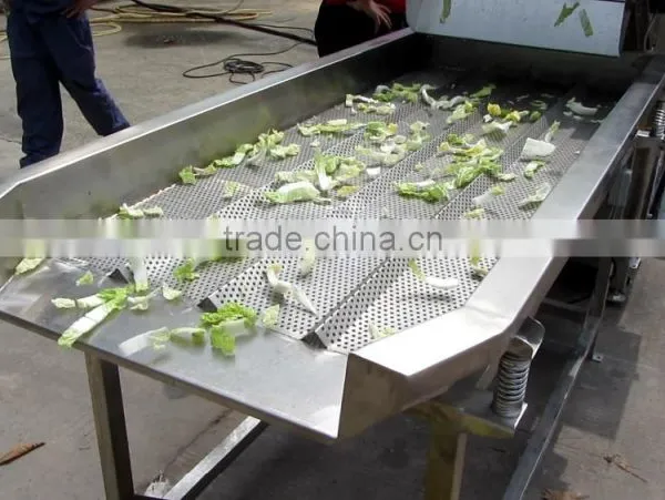Vegetable Vibration Dehydrator Dewater Dewatering Machine(1.8meter Length) photo-3
