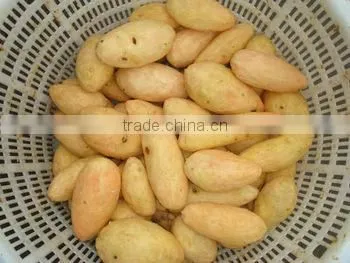 Ginger Washing and Peeling Machine Potato Brush Peeler Machine With Mix Brushes photo-5