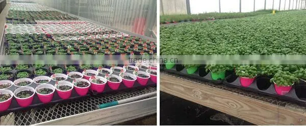 35 50 72 105 128 150 288 Cell Plastic Seed Tray ,seeding Tray for Agricultural photo-5