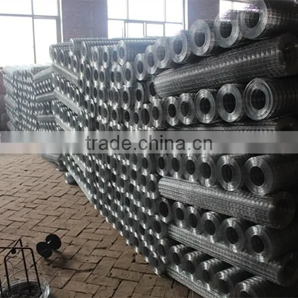Stainless Steel Welded Wire Mesh Panel photo-4