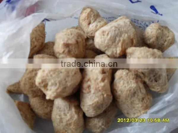 Made in Jinan China Excellent Quality Soya Protein Bar Extruder Machines photo-5