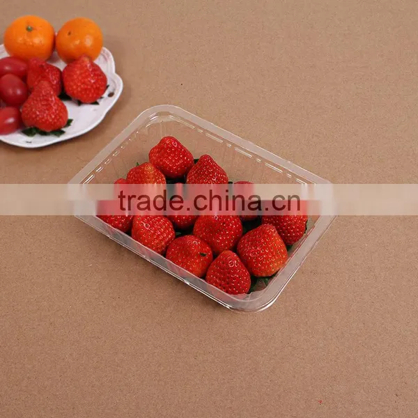 750ml Disposable PP Transparent Seafood Fruit Plastic Container photo-4