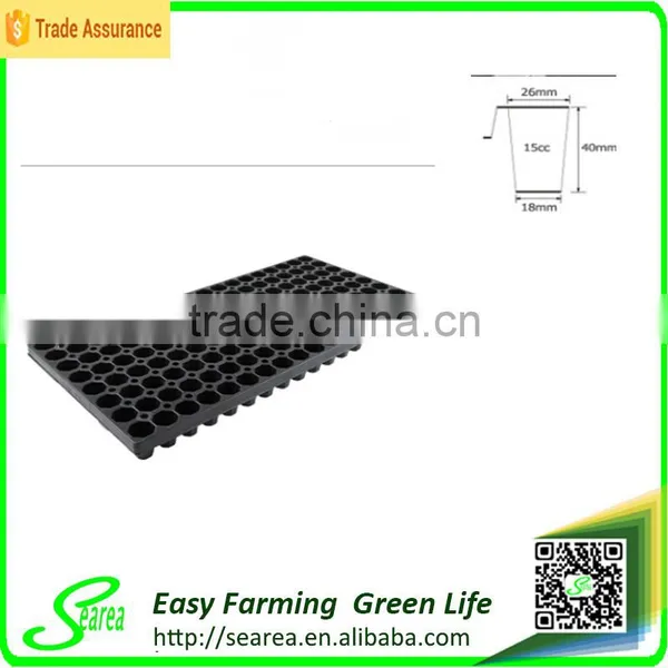 Nursery Seeding Plate photo-3