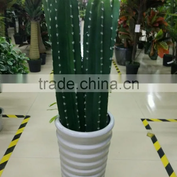 SJ3001107Ornamental Artificial Green Cactus Plants photo-4