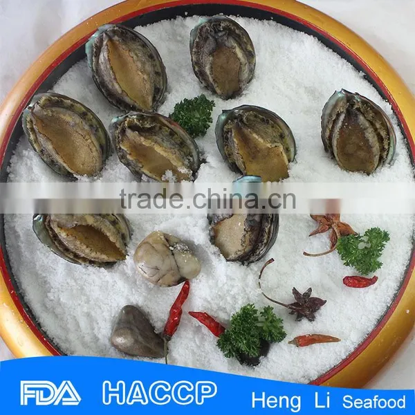 Frozen Seafood Frozen Ormer on Sale