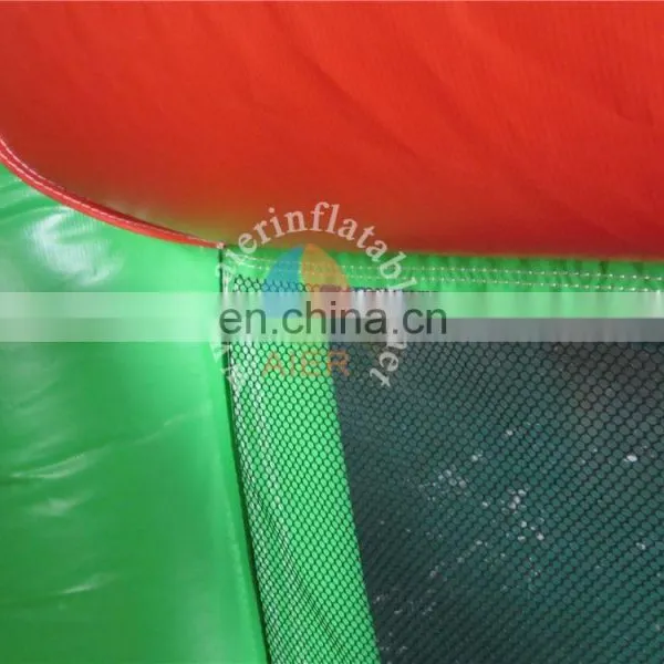 Inflatable Slide Combo, Inflatable Cartoon Slide, Slide Castle Inflatable photo-6