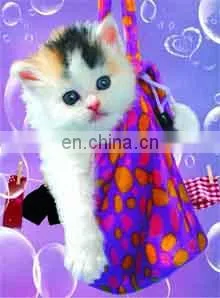 Fashion Promotion PET/PP Advertising Poster With 3d Effect photo-6