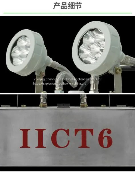 Stainless Steel LED Explosion-proof Emergency Lamp Double Head Emergency Light photo-3