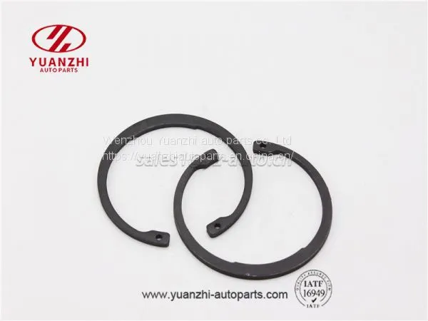 Ring Circlip/C Type Retaining Ring/ Pin Lock Washers Supplier