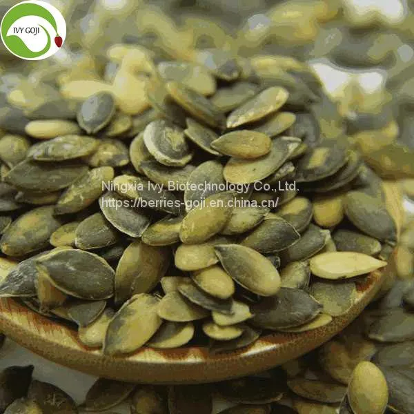 Factory Supply Hot Sale GWS A Grade Pumpkin Kernels