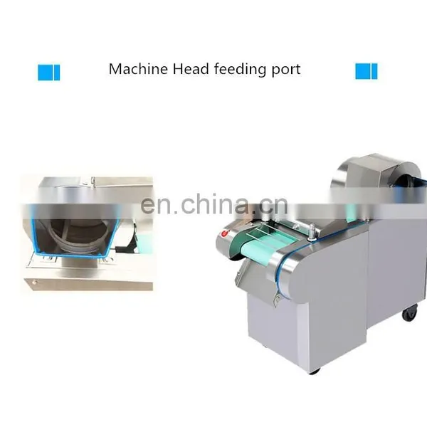 YQC-660 150kg/h 220V Mueller Austria Onion Chopper Mueller Austria Onion Chopper Pro Vegetable Chopper FOR SALE photo-5