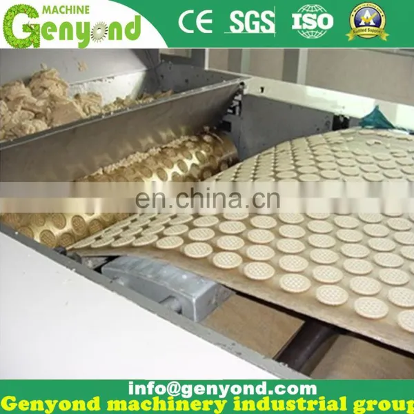 Stainless Steel Biscuit Making Machine for Small Business