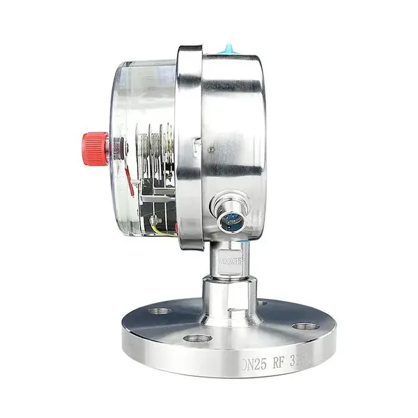 Electric Contact Diaphragm Pressure Gauge Customized Support OEM Factory in China photo-4