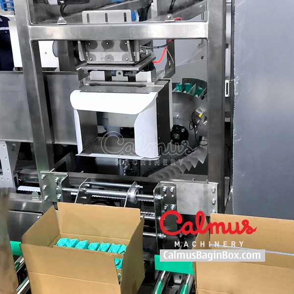 Carton Packaging Machine for Doypack Pouches photo-5
