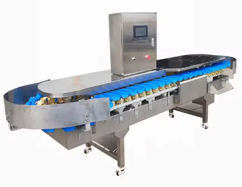 Professional Seafood Weight Sorting Machine Fish,shrimp,Oysters,Prawns,Scallops,Squid Weight Selecting Machine photo-2
