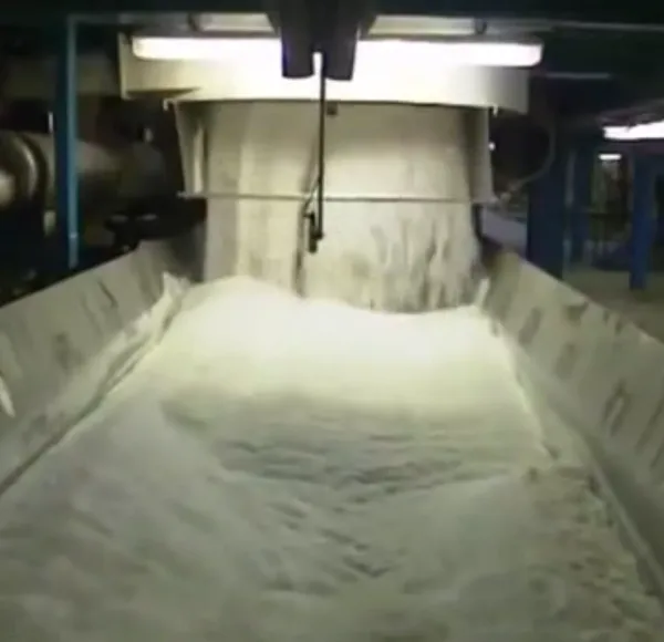 Beet Sugar Processing Line photo-3