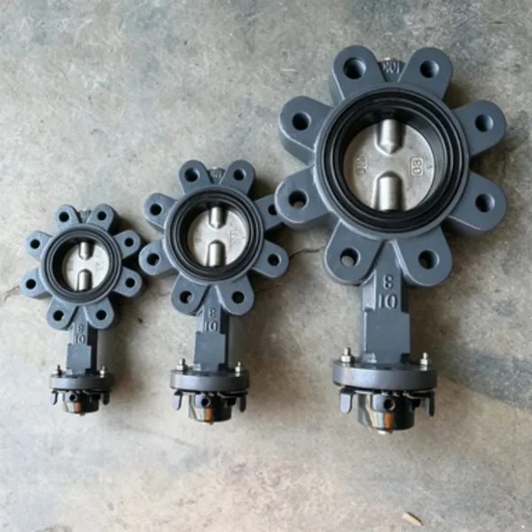 Marine Lug Type Handle Butterfly Valve Compatible With DN50 to DN300 Pipes photo-2