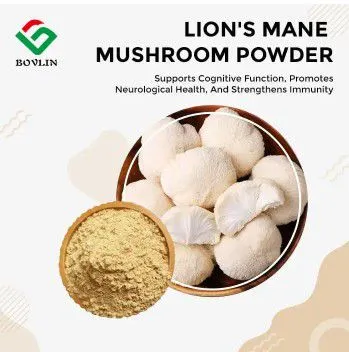 Lion's Mane Mushroom Extract Powder