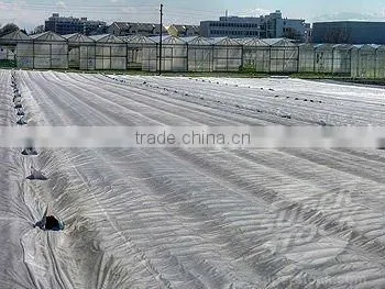 Nonwoven Frost Protection Cover photo-5