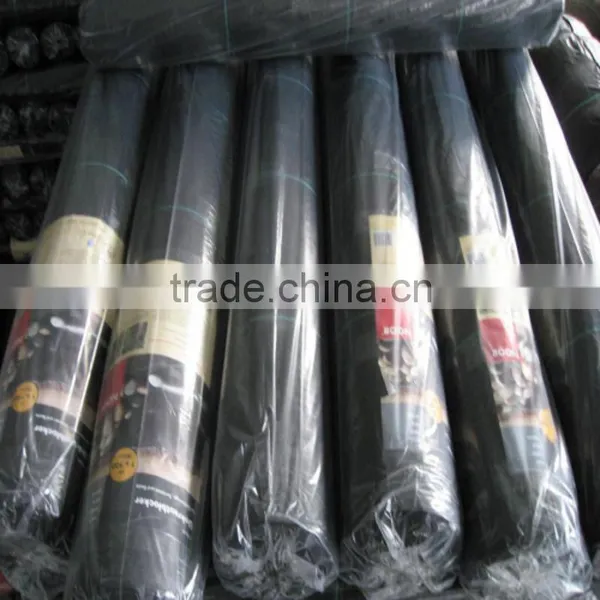 pp Woven Weed Barrier Factory photo-5