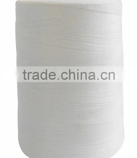 Hot Sale 100% Polyester Bag Closer Thread for Bag Closer Machine photo-2