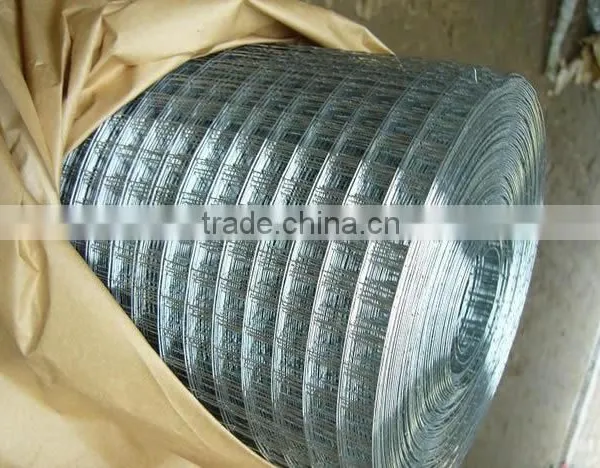 Factory Direct Supply 5*5 Welded Rabbit Cage Wire Mesh photo-2