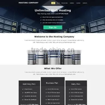Ecommerce Website Design photo-5