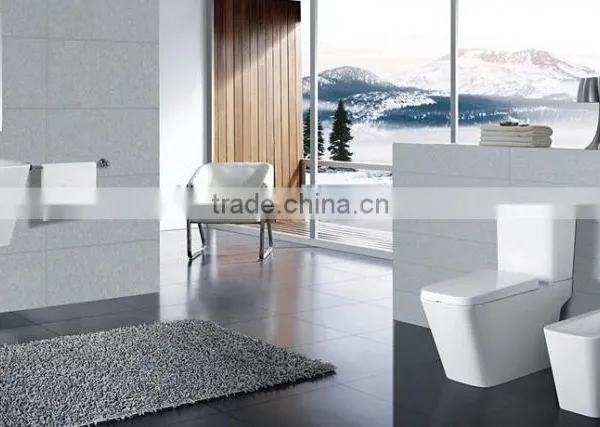 China Sanitary Ware Ceramic Two Piece Toilet photo-2