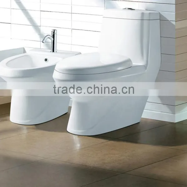 P Trap and S Trap Washdown One Piece Toilet