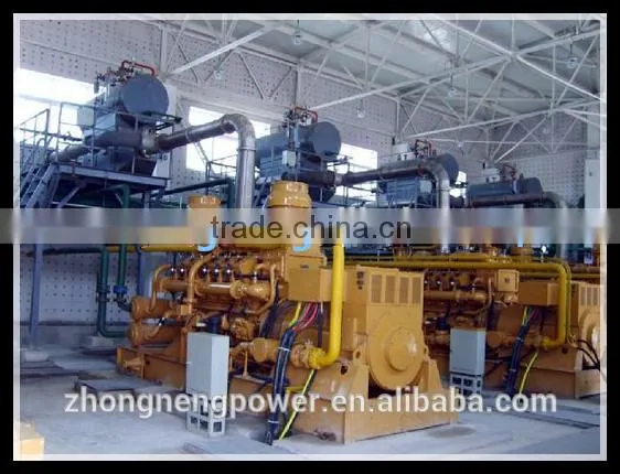 Wood /sawdust Biomass Generating System in Overseas photo-2