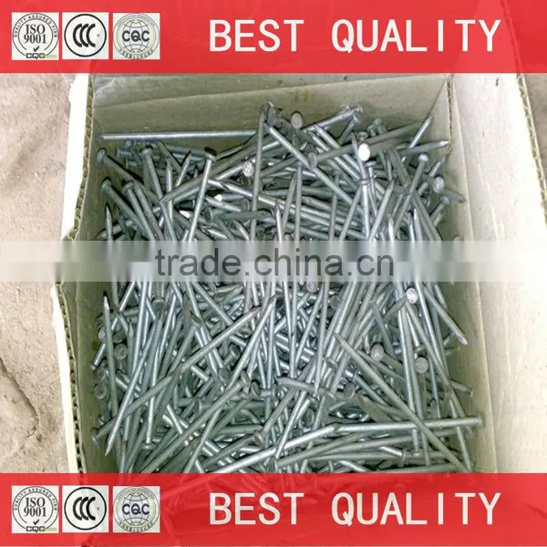 Galvanized Common Nails
