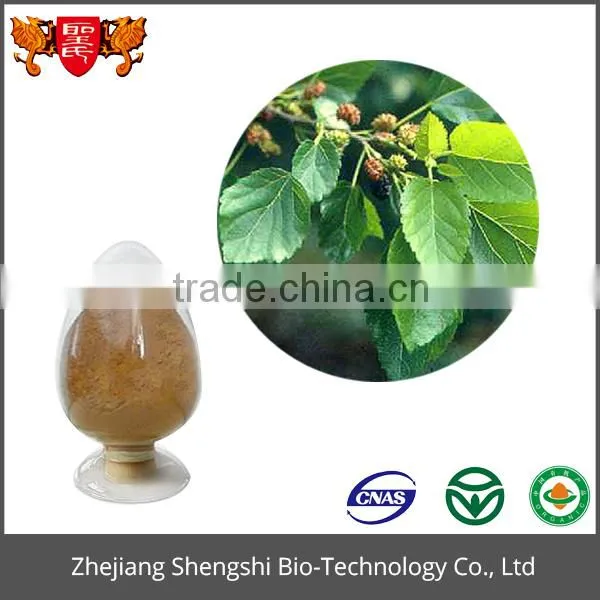 Best Price Food Grade Product Green Organic Mulberry Leaf Extract Powder photo-3
