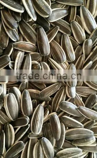 Best Cheap Sunflower Seed 601 photo-4