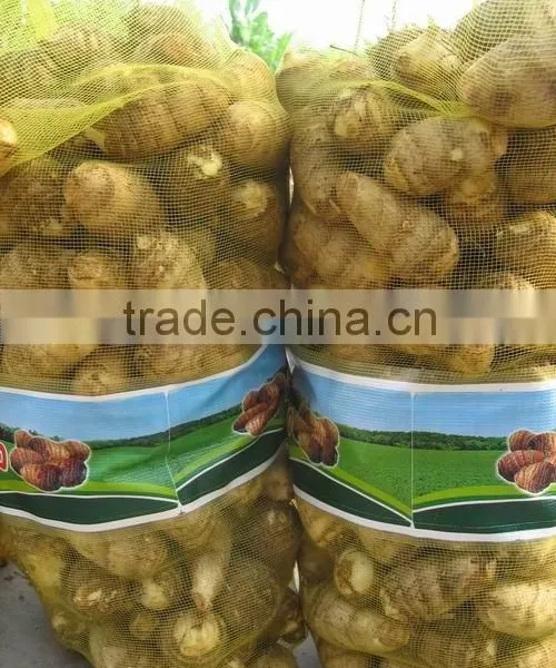 100% Nature Fresh Taro Hot Selling Hight Quality