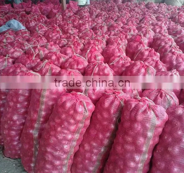 Fresh Organic Red Onion for Sale photo-3