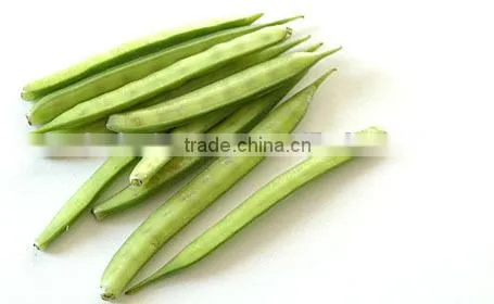 Gawar Price photo-3