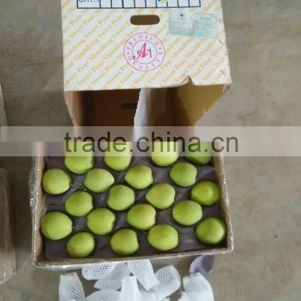 Shandong Pear photo-2