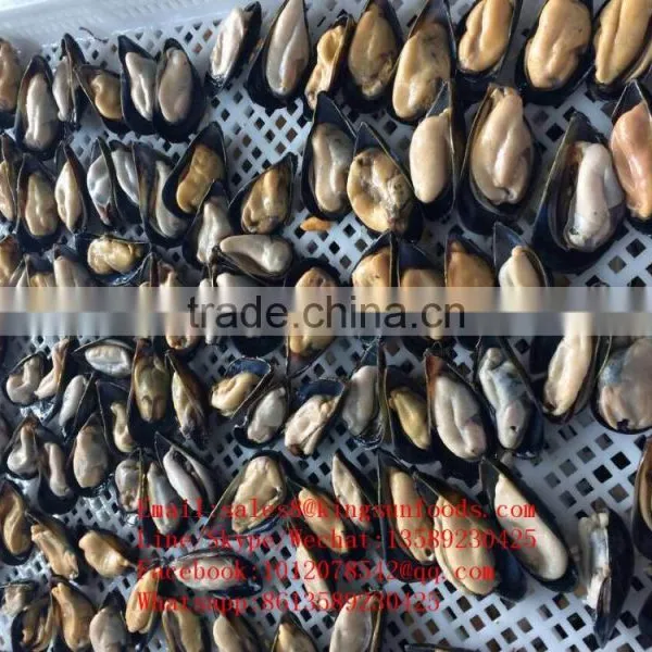 Wholesale High Quality Half Shell Mussel With Good Price photo-4