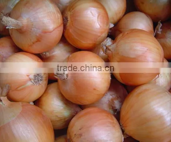 FX-128-3A Hot Sale Onion Peeling Processing Machine photo-5