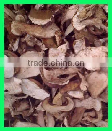 Grade A Dry Boletus Edulis Slice Dry Wild Mushroom photo-3