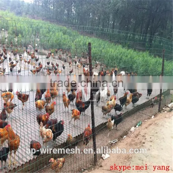 Low Cost Dutch Mesh Fence / Pvc Coated Wire Mesh Fence photo-2
