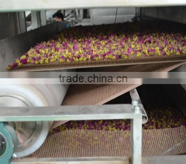 Multiple Layer Continuous Type Mesh Belt Dryer for Rosebud photo-4
